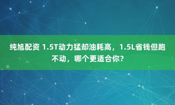 纯旭配资 1.5T动力猛却油耗高，1.5L省钱但跑不动，哪个更适合你？