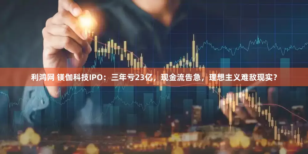 利鸿网 镁伽科技IPO：三年亏23亿，现金流告急，理想主义难敌现实？